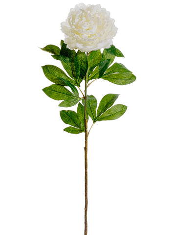 33