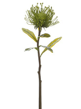 Load image into Gallery viewer, Green