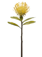 Load image into Gallery viewer, Yellow