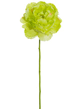 Load image into Gallery viewer, Green