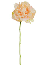 Load image into Gallery viewer, Blush