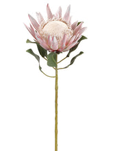 Load image into Gallery viewer, Pink