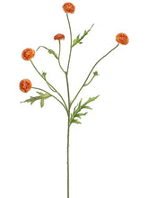 Load image into Gallery viewer, Orange