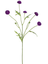 Load image into Gallery viewer, Violet