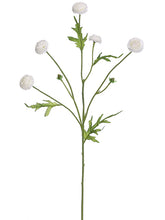 Load image into Gallery viewer, White