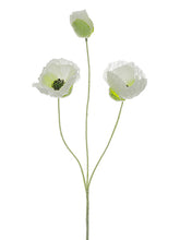 Load image into Gallery viewer, Cream