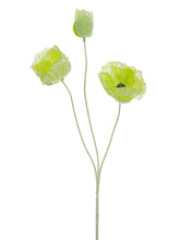 Load image into Gallery viewer, Green