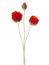 Load image into Gallery viewer, Red