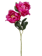 Load image into Gallery viewer, Fuchsia