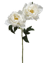 Load image into Gallery viewer, White