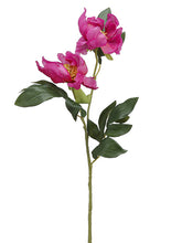 Load image into Gallery viewer, Fuchsia