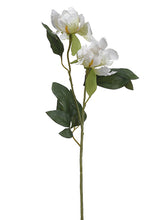 Load image into Gallery viewer, White