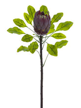 Load image into Gallery viewer, Brown