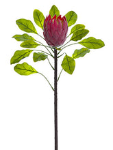 Load image into Gallery viewer, Mauve