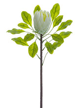 Load image into Gallery viewer, White