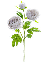 Load image into Gallery viewer, Gray