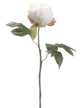 Load image into Gallery viewer, Cream
