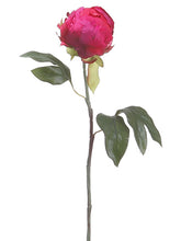 Load image into Gallery viewer, Fuchsia