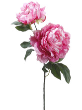 Load image into Gallery viewer, Two Tone Cerise