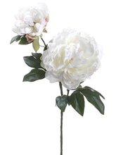 Load image into Gallery viewer, Cream