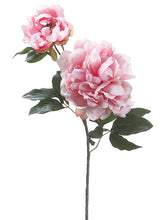Load image into Gallery viewer, Pink