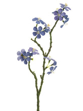 Load image into Gallery viewer, Lavender