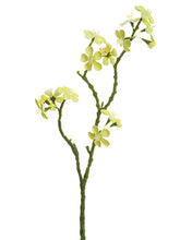 Load image into Gallery viewer, Soft Yellow