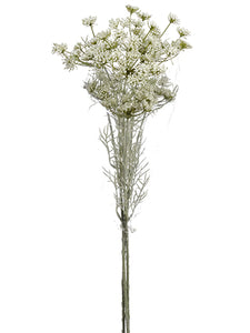 27" Queen Anne's Lace Bundle x3 White (pack of 12)