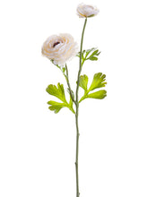 Load image into Gallery viewer, Beige