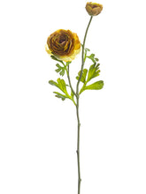 Load image into Gallery viewer, Mustard