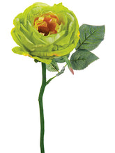 Load image into Gallery viewer, Green