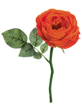 Load image into Gallery viewer, Orange