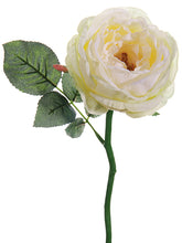 Load image into Gallery viewer, White Cream