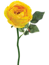 Load image into Gallery viewer, Soft Yellow