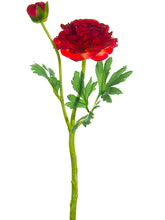 Load image into Gallery viewer, Tomato Red