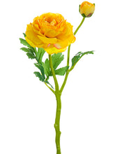 Load image into Gallery viewer, Soft Yellow