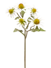 Load image into Gallery viewer, White