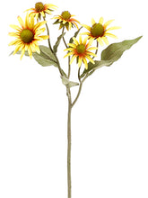 Load image into Gallery viewer, Yellow