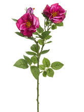 Load image into Gallery viewer, Two Tone Cerise