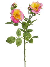 Load image into Gallery viewer, Cerise Yellow