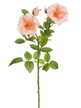 Load image into Gallery viewer, Two Tone Coral