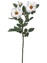 Load image into Gallery viewer, White