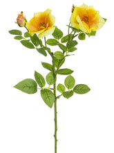 Load image into Gallery viewer, Yello Orange