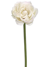 Load image into Gallery viewer, Cream Blush