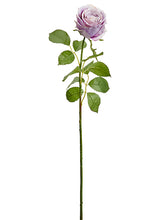 Load image into Gallery viewer, Amethyst