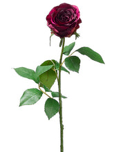 Load image into Gallery viewer, Two Tone Eggplant