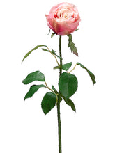 Load image into Gallery viewer, Two Tone Rose