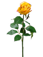 Load image into Gallery viewer, Yellow Beauty