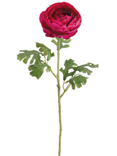 Load image into Gallery viewer, Beauty