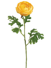 Load image into Gallery viewer, Yellow